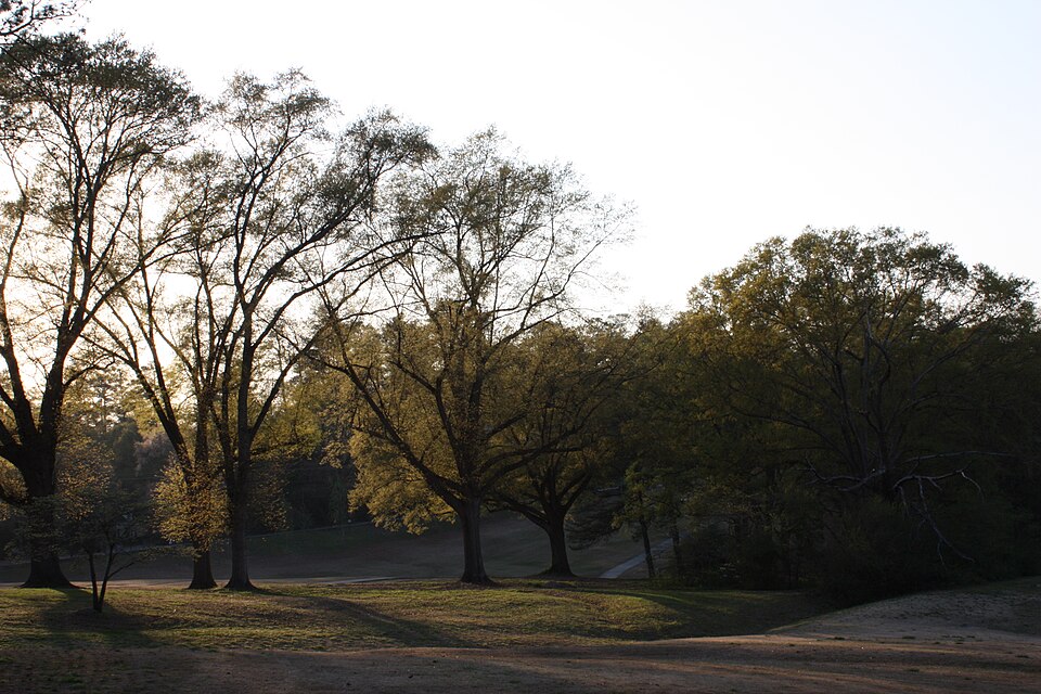 chastain-park,-atlanta chastain park atlanta